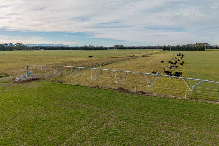 728 Valetta Westerfield Road Westerfield_4