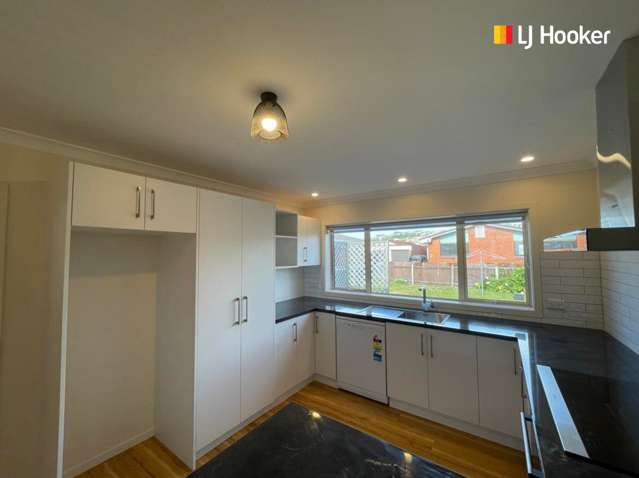 66 Cutten Street South Dunedin_3