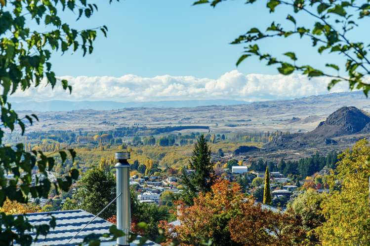 64 Aronui Road Alexandra_4