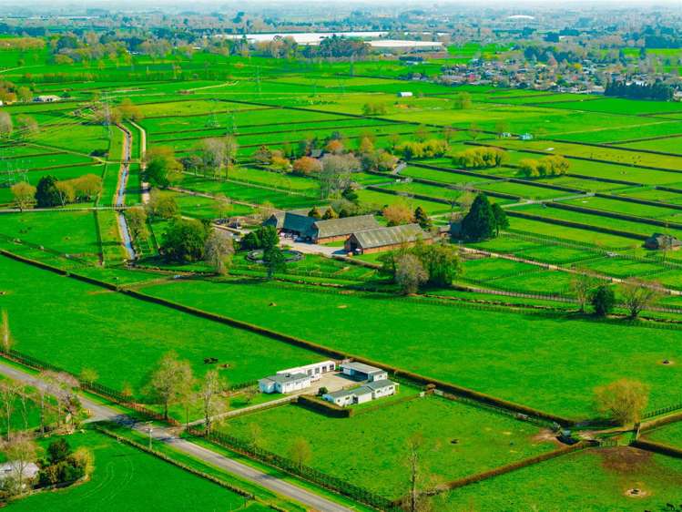 122 Rotoorangi Road Cambridge_24