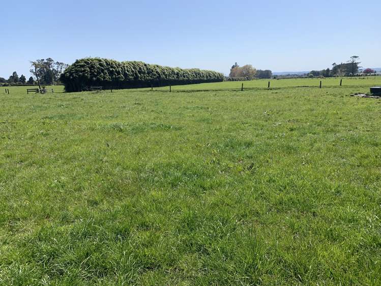 2442 Mountain Road Tariki_14