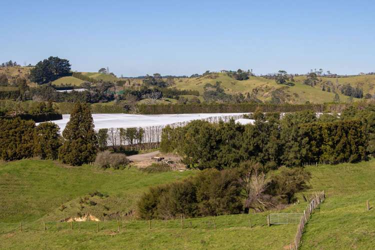 231 Walford Road Aongatete_17