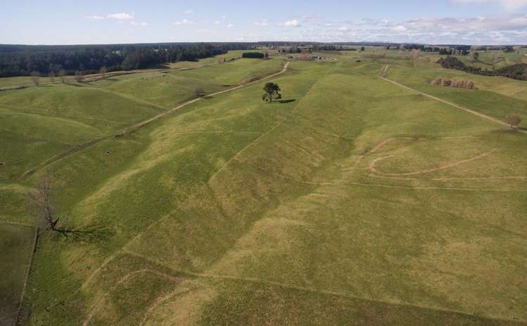 574 Rawhiti Road Reporoa and Surrounds_1