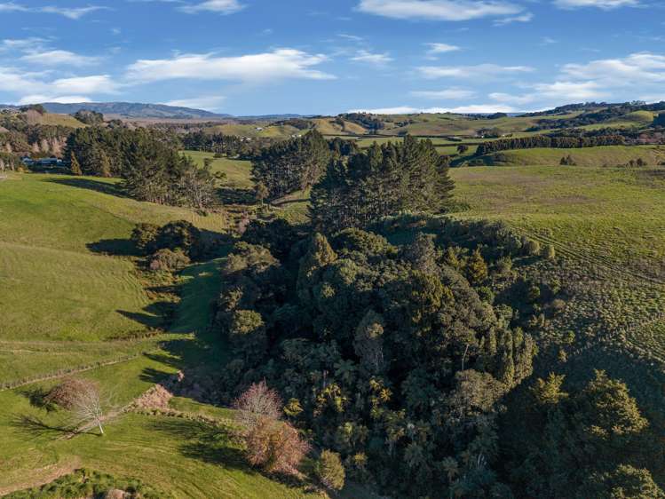 192 Cameron Town Road Pukekohe_31