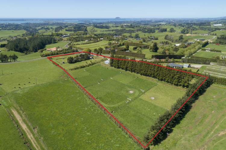 598 Esdaile Road Whakamarama_3