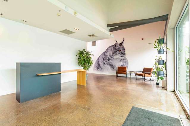 40 Ireland Street Freemans Bay_2
