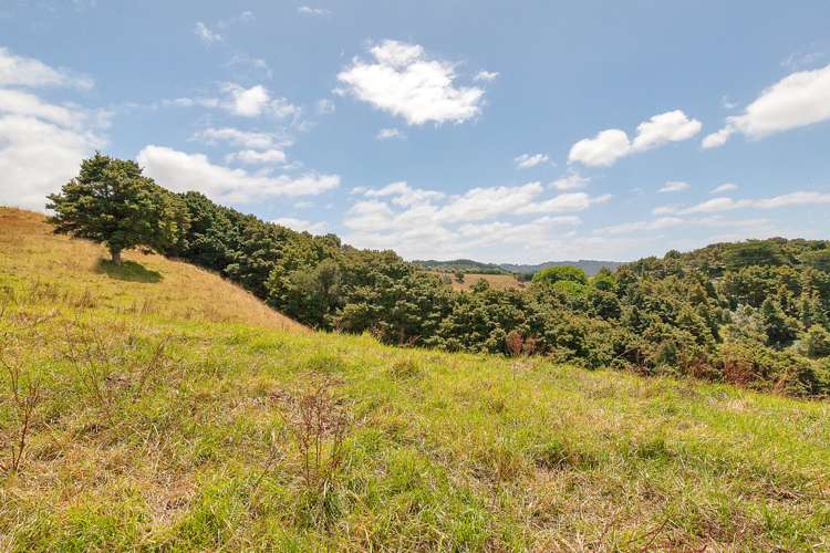 259a Taraunui Road Parua Bay_8