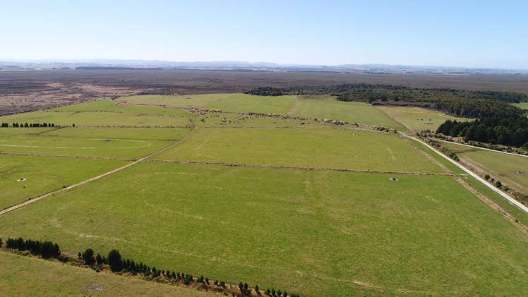 235 Waituna Lagoon Road Wyndham Surrounds_3