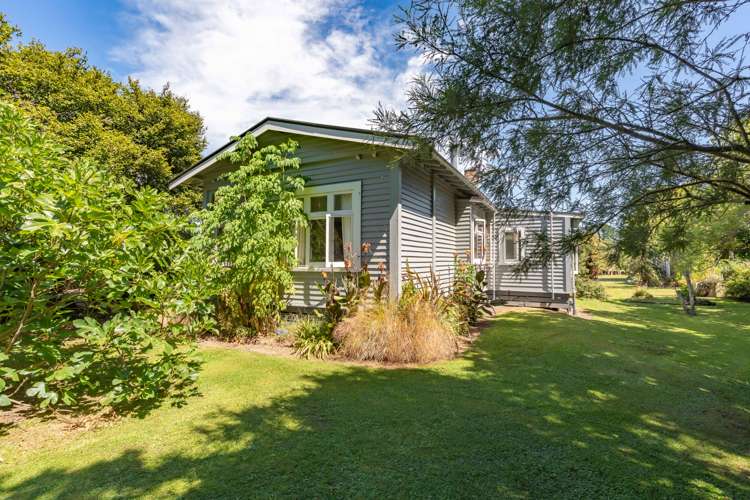 317 Wood Street Greytown_1