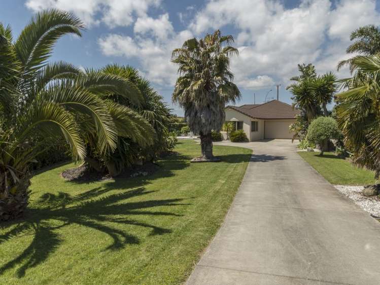 14 Owen Place Omokoroa_5