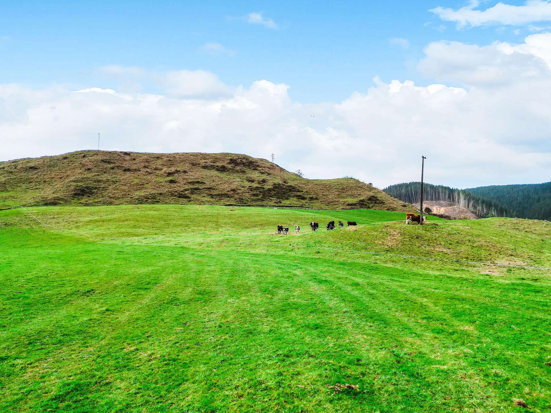 3789 State Highway 4 Ongarue_0