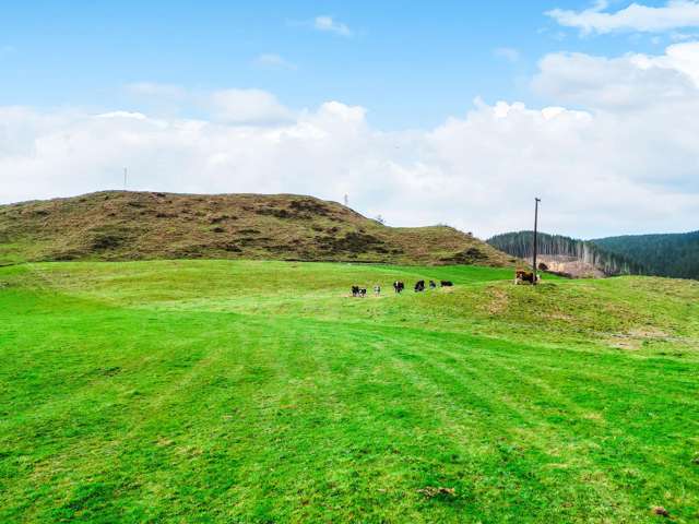 3789 State Highway 4 Ongarue_2