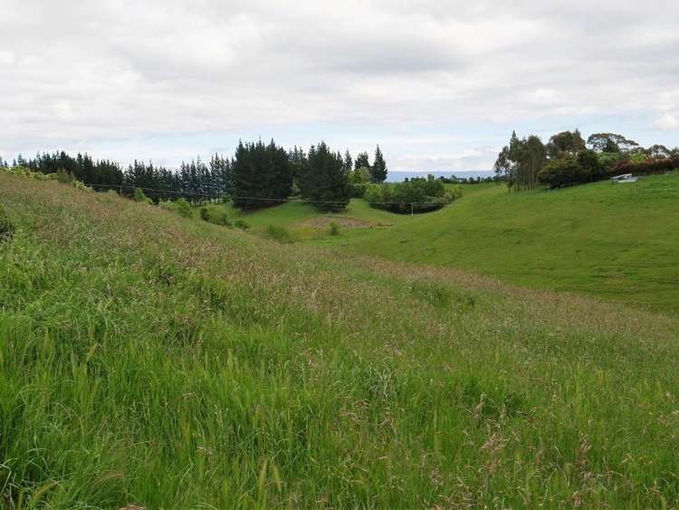 Whakapirau Road Maraekakaho_10