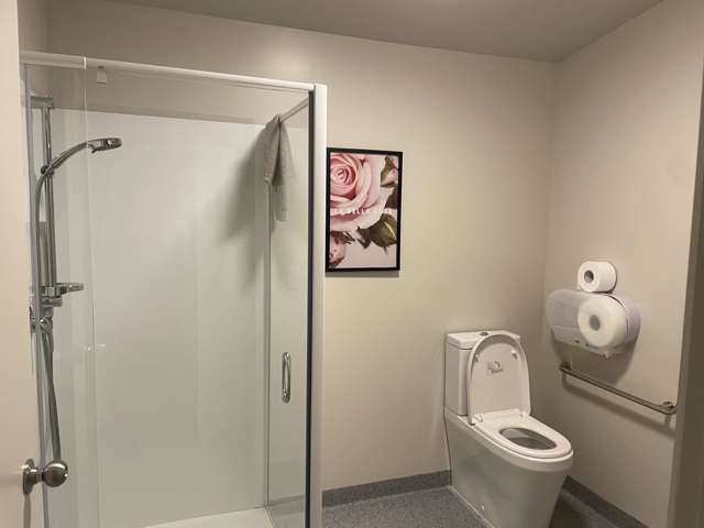 9 McBride Street Frankton_3