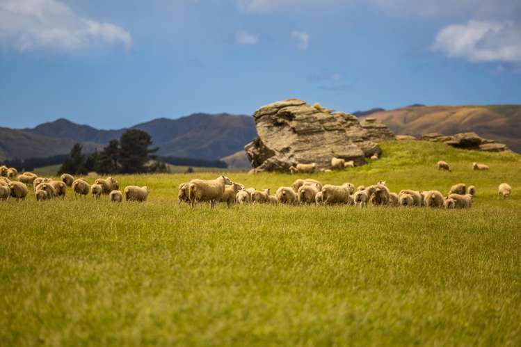 Address withheld Middlemarch_28