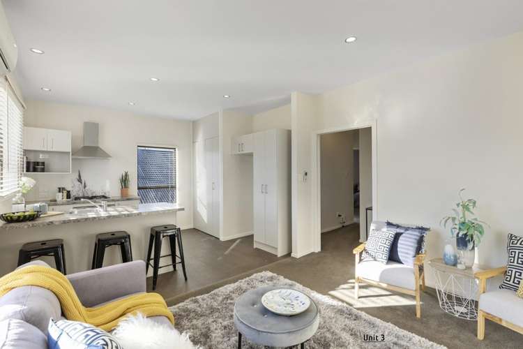  3/33 Tory Street Petone_1