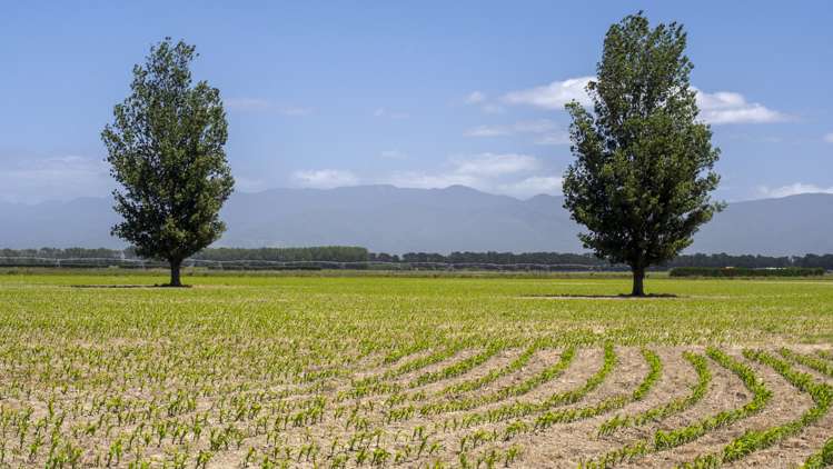 Wairio Road Featherston_9