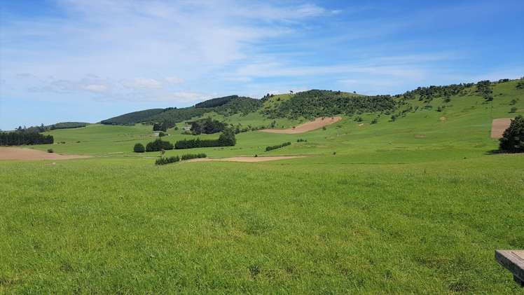 2000 Hillfoot Road Catlins Surrounds_14