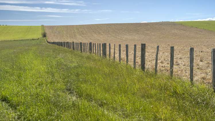 43 Taumata Island Road Carterton_16