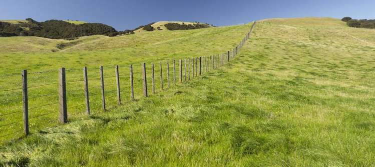 453 Dry River Road Martinborough_12