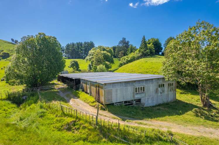 690 Bayley Rd Wharepuhunga_2