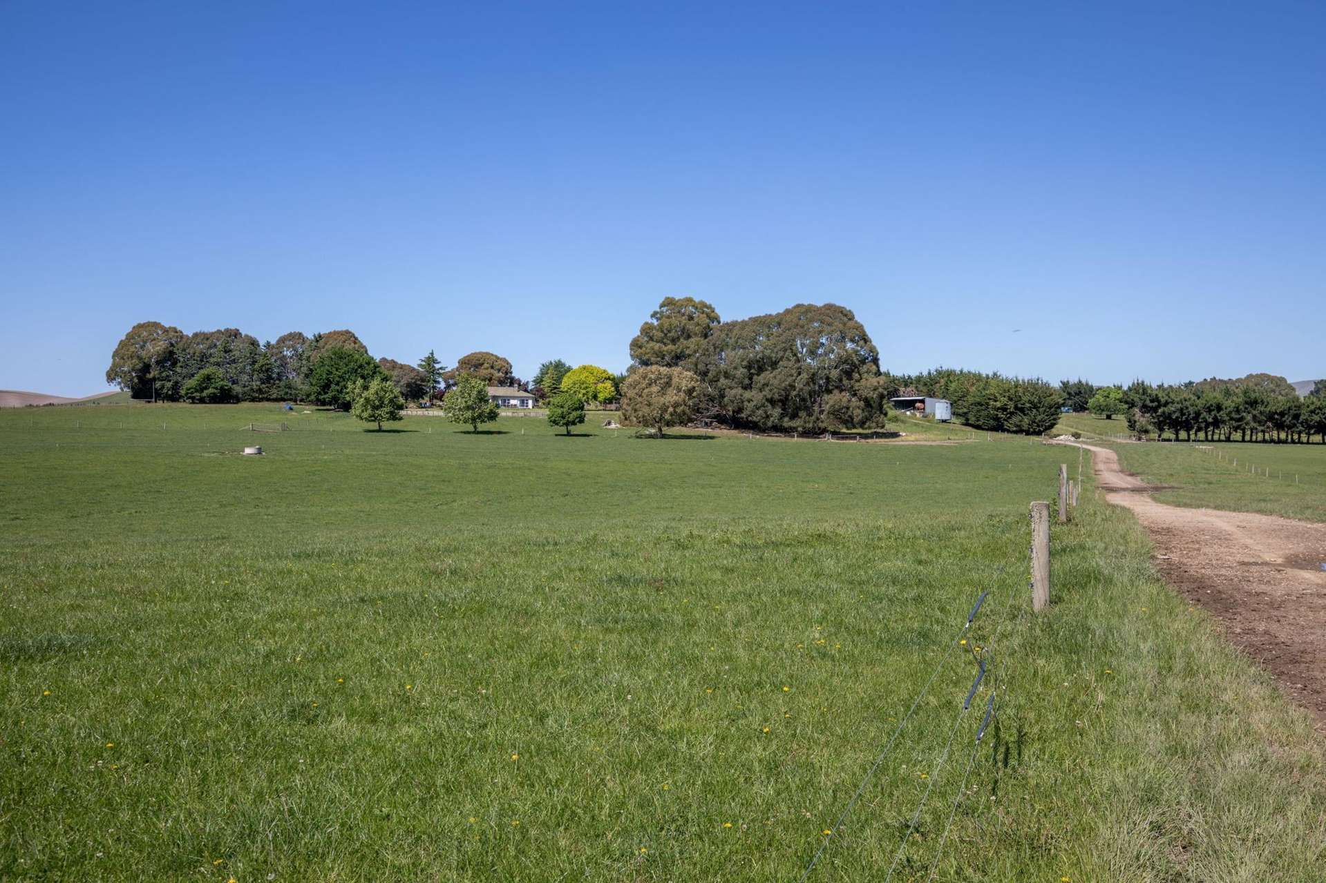 270 Downs Road Cheviot_0