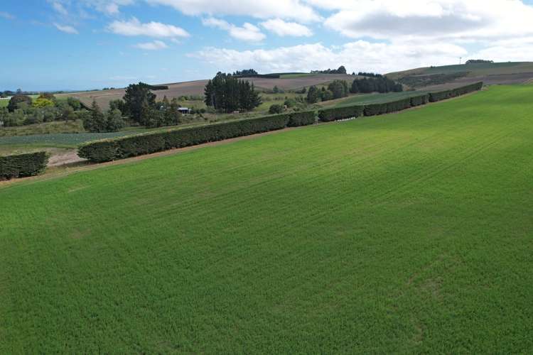 253 Whiterocks Road Weston_6