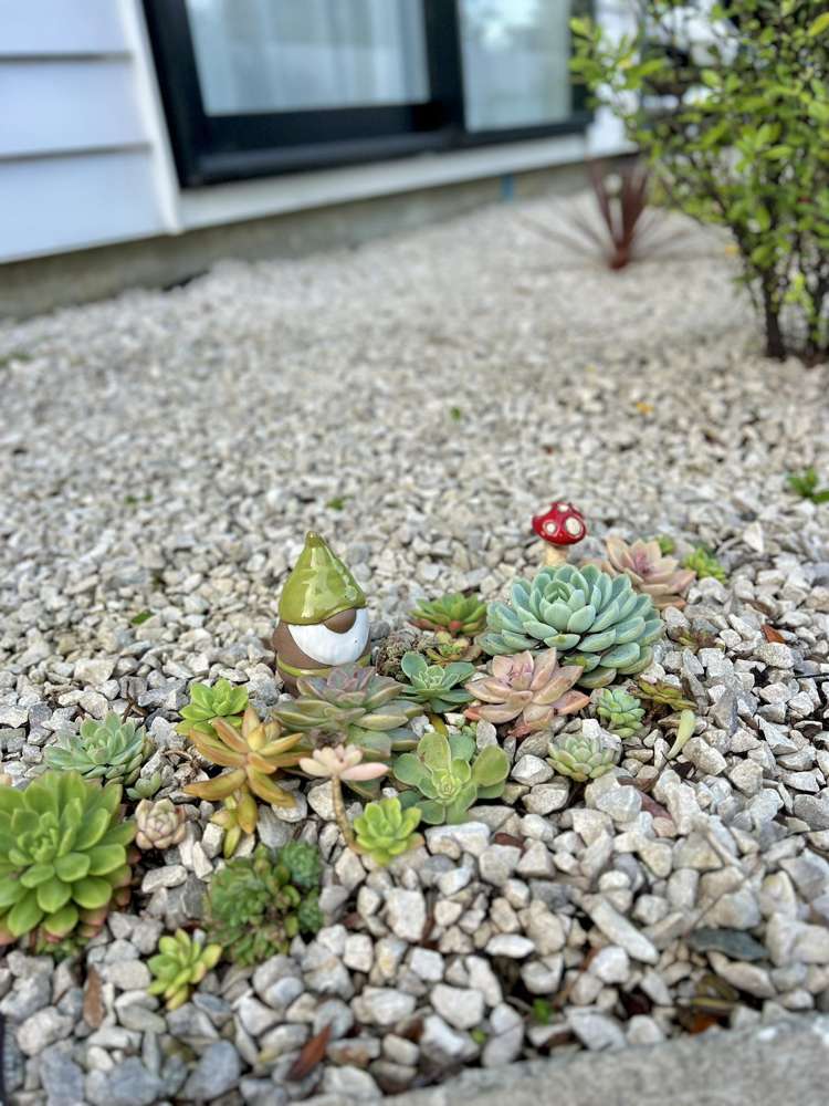 59d Redwood Drive Massey_5