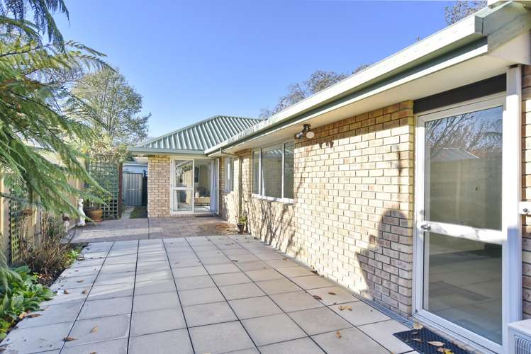 7 Fisher Avenue Sydenham_12