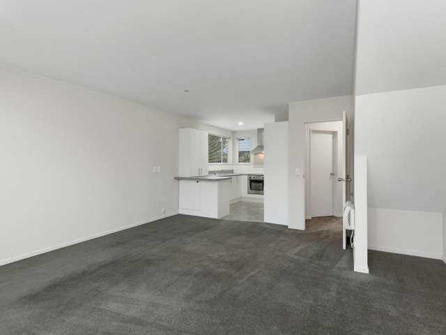 113c Clarence Street Riccarton_2