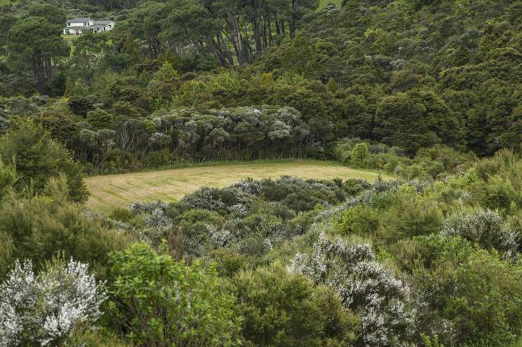 33 Karahiwi Lane Dairy Flat_6