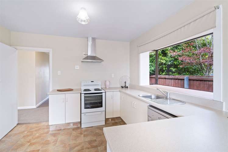 31 Witham Street Hornby_8