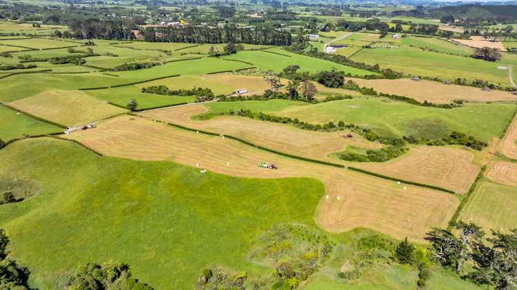 Upland Road Egmont Village_5