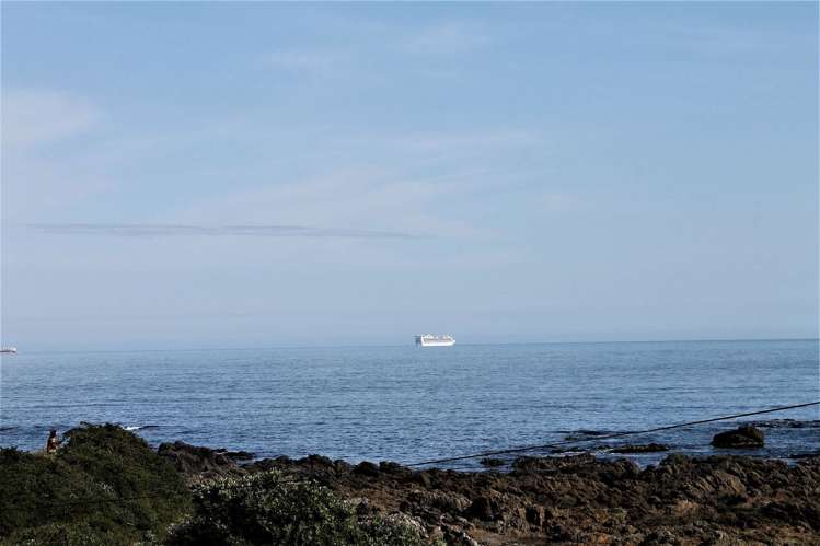 442 The Esplanade Island Bay_16