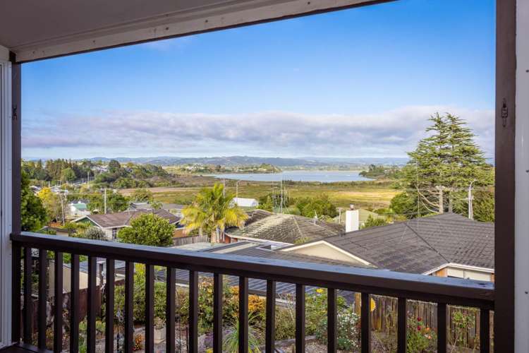 358 Ngatai Road Bellevue_8