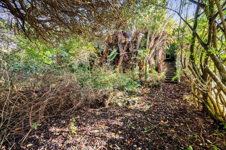 158 Rata Street Inglewood_21