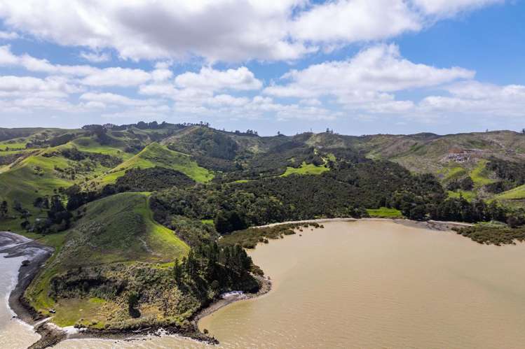 167 Summer Road Tinopai_43