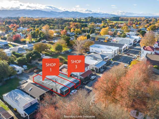 92-94 Main Street Greytown_1