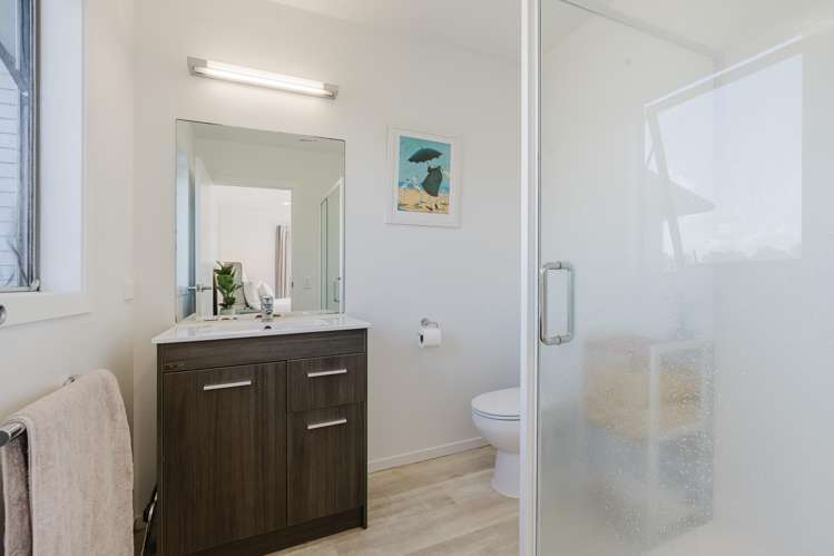 163F Ngahape Road Te Awamutu_14