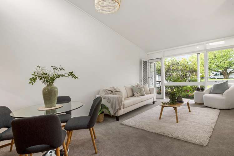 5/6 North Avenue Narrow Neck_4