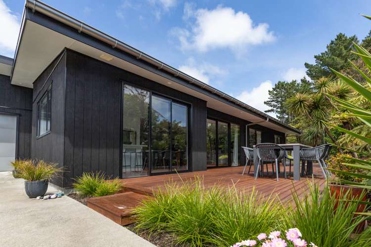 23 Pandora Avenue Camerons_15