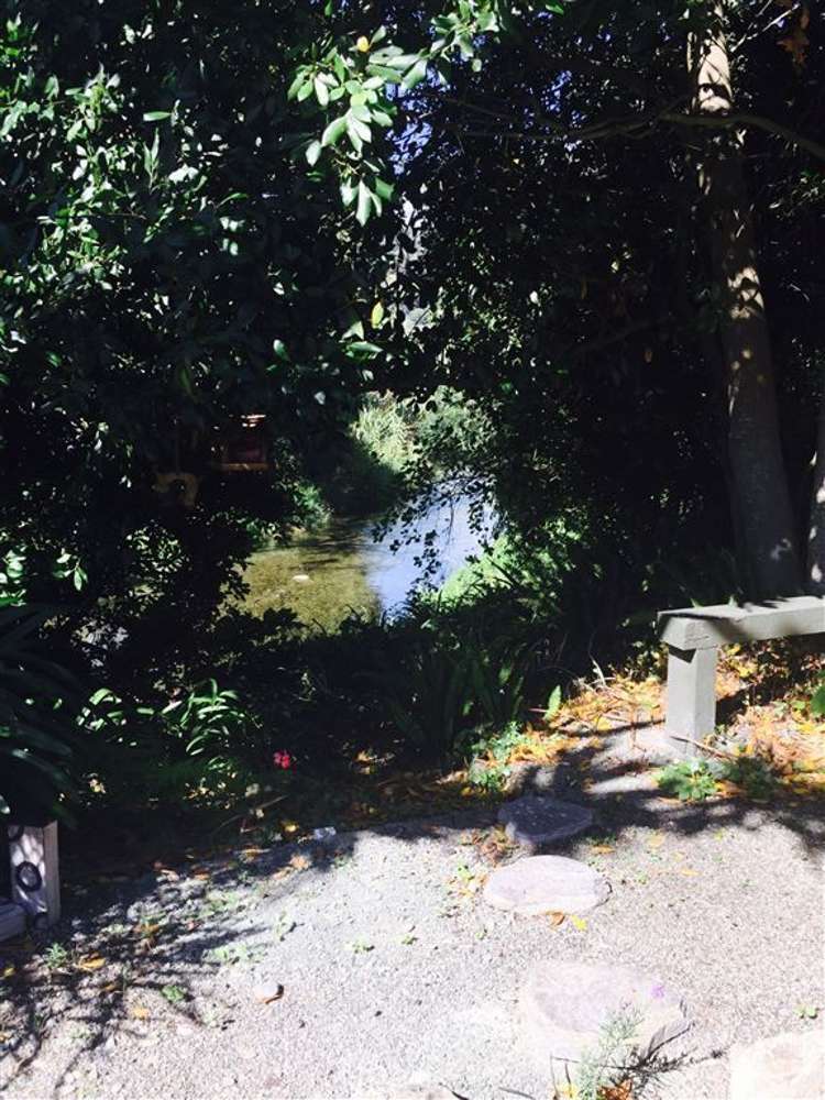 9 Barrington Way Nelson City_9