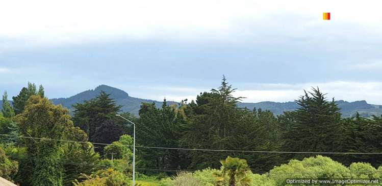 22 Stafford Street Hampden_10