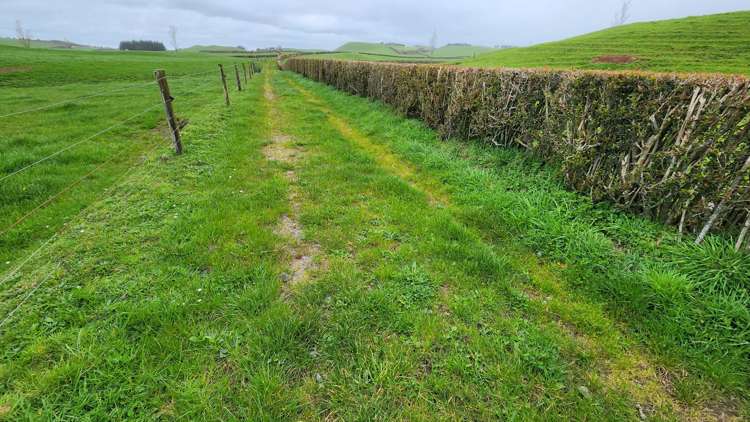 953 Upland Road Egmont Village_27