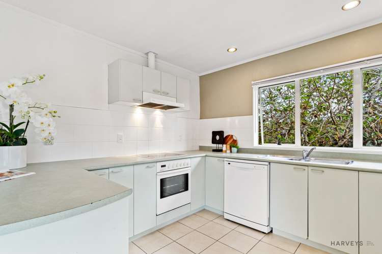 39a Central Park Drive Te Atatu South_2