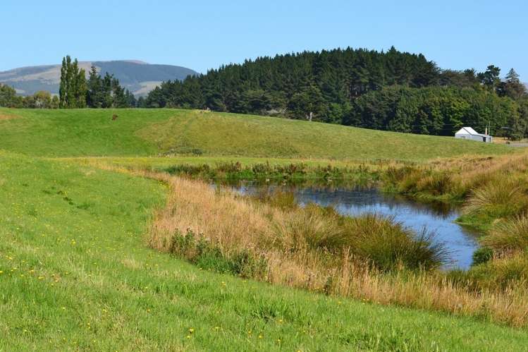 165 Waitepeka Road Catlins Surrounds_12