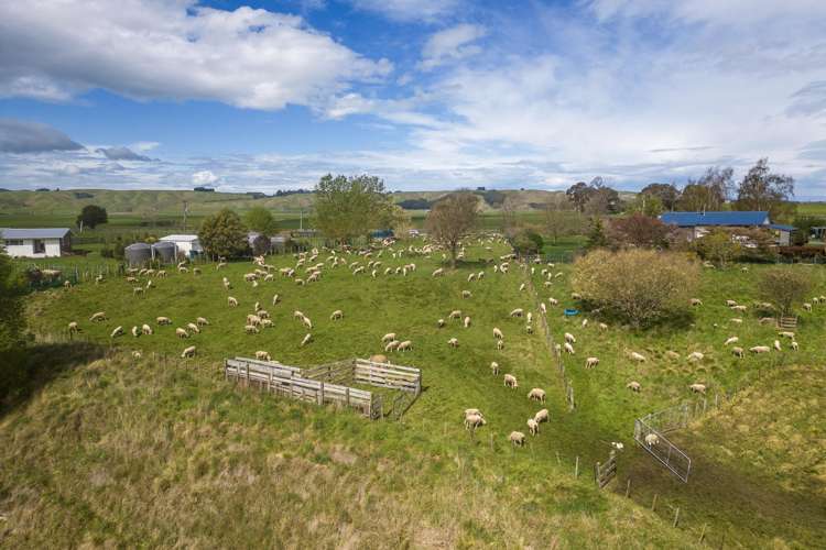 425 Te Kura Road Otane_39