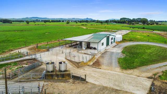 51A Waverley Road Gordonton_4