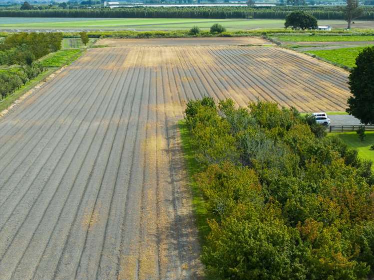 1084 Back Ormond Road Waerengaahika_29