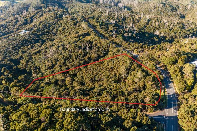 Te Wahapu Road Russell_5